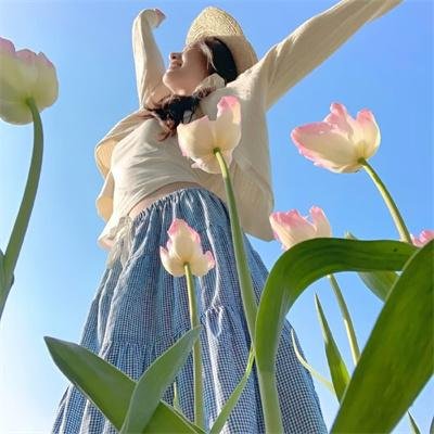 阿伦与伙伴